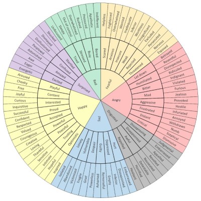 p1_wheel-of-emotions.jpg