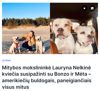 dogs.png